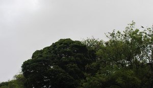 Fim de semana será de tempo instável com previsão de chuva para todo estado de Alagoas
