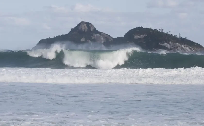 Jovens de 9 países participam de curso de pesquisas oceânicas no Rio