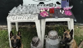 Cães farejadores localizam drogas e munições em Arapiraca