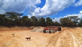 IMA autua construtora por crime ambiental e embarga obra em área de Mata Atlântica