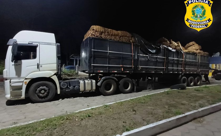 PRF apreende cerca de 27 toneladas de tabaco in natura sem nota fiscal