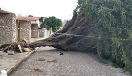 Defesa Civil está em alerta e monitora chuvas em Maceió