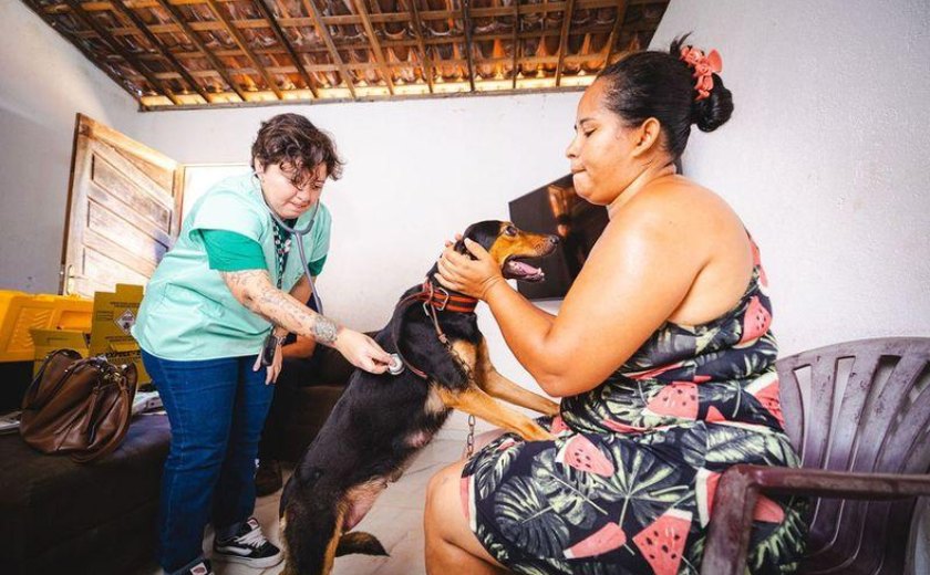 Prefeitura leva serviços veterinários a famílias em situação de vulnerabilidade