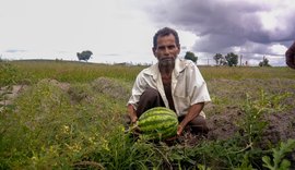 Novo pagamento do Garantia-Safra beneficia cerca de 5 mil agricultores alagoanos