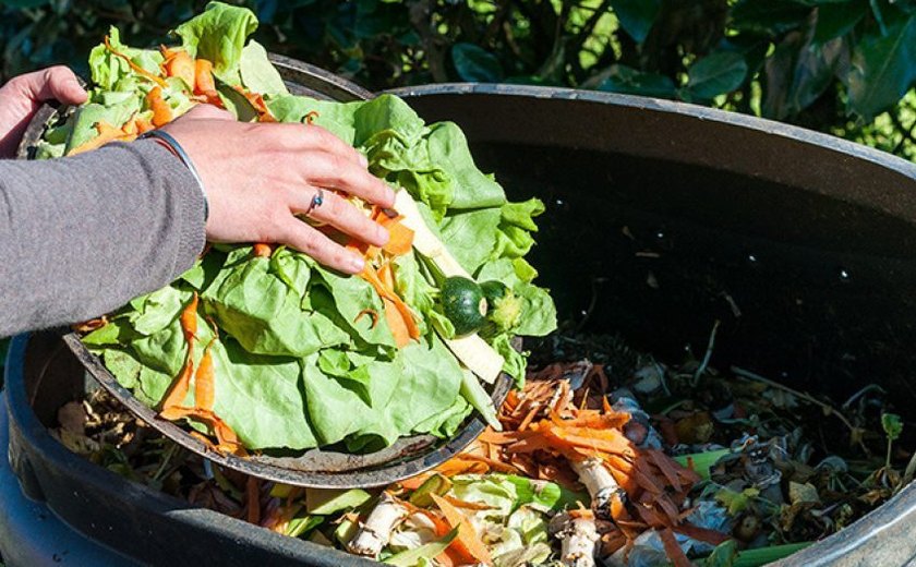 Compostagem contribui para reutilizar rejeitos e resíduos