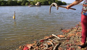 Lagoa Mundaú enfrenta nova mortandade de peixes