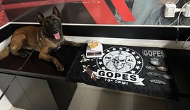 PM apreende quatro armas, mais de 1 kg de drogas e recupera veículo roubado em operações
