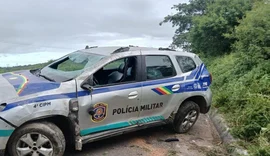 Cavalo solto na estrada provoca acidente envolvendo viatura da PM de Pernambuco