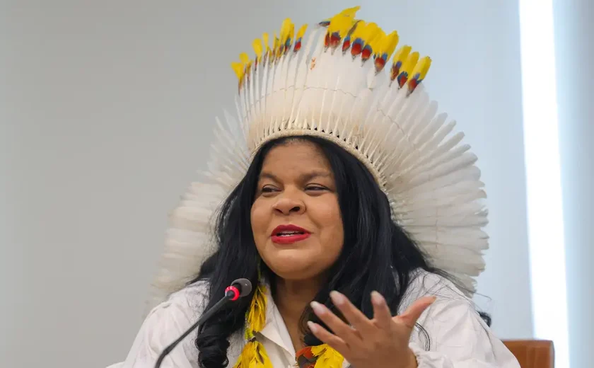 Ministra destaca trabalho inédito na proteção dos povos indígenas