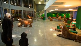 Prazo para inscrições em edital que seleciona exposição em complexo cultural é prorrogado