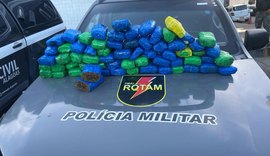 Rotam apreende quase 40kg de maconha em terreno baldio na Cidade Universitária
