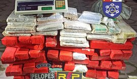 Polícia apreende mais de 70 quilos de cocaína e maconha em Arapiraca