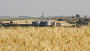 Cooperativa paranaense distribui R$ 10 milhões aos associados