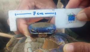 Pescador é multado em quase 200 mil reais por pesca de animal em extinção