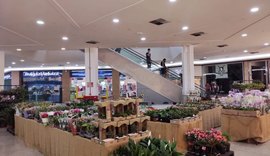Shopping recebe festival com mais de 200 espécies de flores e plantas ornamentais
