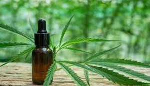 DP aciona Justiça para garantir regulamentação imediata da lei estadual que prevê distribuição de canabidiol pelo SUS