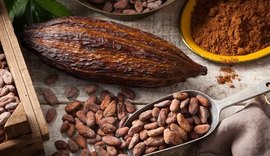 Chocolate amargo: um aliado do coração