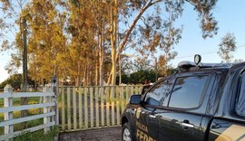 PF realiza ação contra grupo suspeito de fraude em licitação em Girau do Ponciano