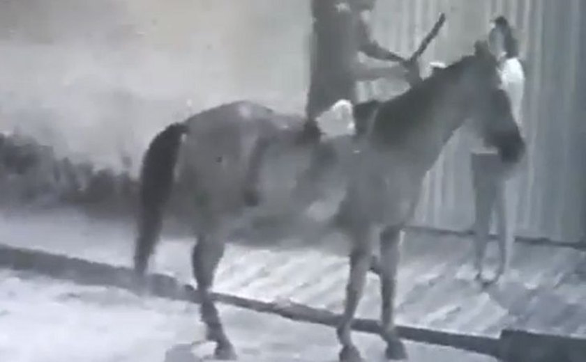 Homem a cavalo e segurando falcão assalta mulher na parte alta de Maceió