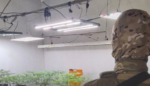 Polícia Civil estoura laboratório usado para cultivo e refinamento de maconha em Maceió