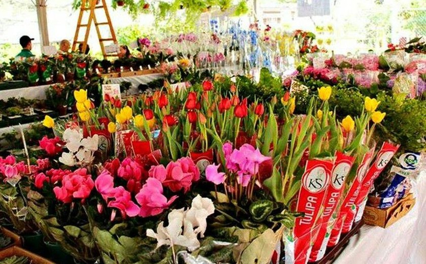 Festival das Flores de Holambra é realizado no Centro de Maceió