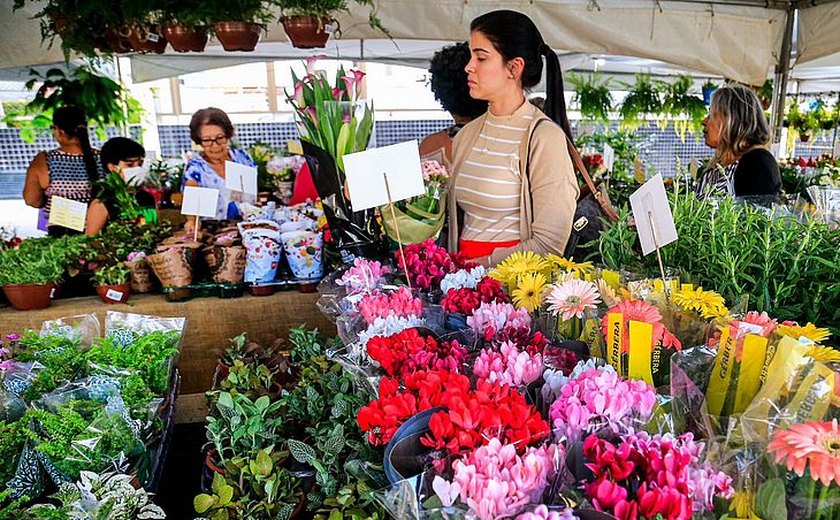 Maceió recebe a 15ª edição do Festival das Flores de Holambra nesta quinta-feira (2)