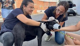 Lei estadual que garante proteção e o bem-estar dos animais já está em vigor