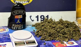 Polícia Militar apreende 29 armas de fogo e 14 kg de drogas na última semana em Alagoas