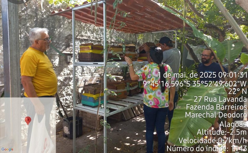 Uniprópolis investe na criação de abelhas uruçus com guardiões para reprodução de colônias