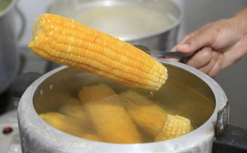 Milho: cereal cada vez mais presente na mesa dos brasileiros