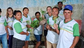 A arte de cultivar: projeto valoriza sustentabilidade e consumo consciente em Viçosa
