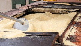 Copervales supera recorde histórico de produção de açúcar na safra 2024/2025