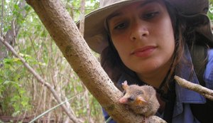Pequenos mamíferos da Caatinga sofrerão pelas mudanças climáticas