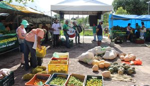 Feira Camponesa itinerante acontece na Serraria nesta semana