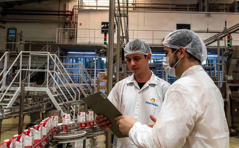 IEL oferece mais de 700 vagas de estágio com bolsas de até R$ 2 mil