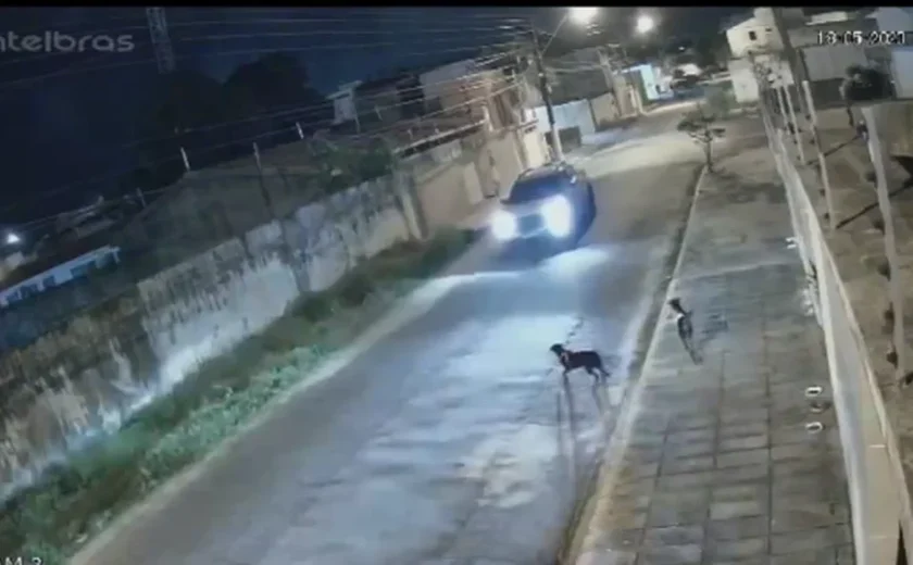 Homem é condenado por maus-tratos a animais
