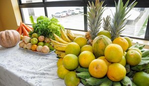 Confira edital de chamada pública para agricultura familiar