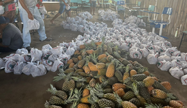 MST doa 10 toneladas de alimentos para famílias vítimas da Braskem
