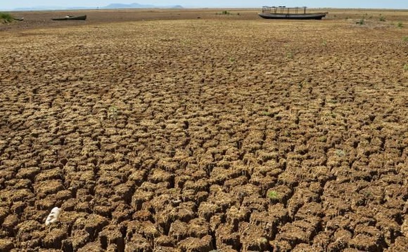 Nordeste conta com monitoramento piloto para secas