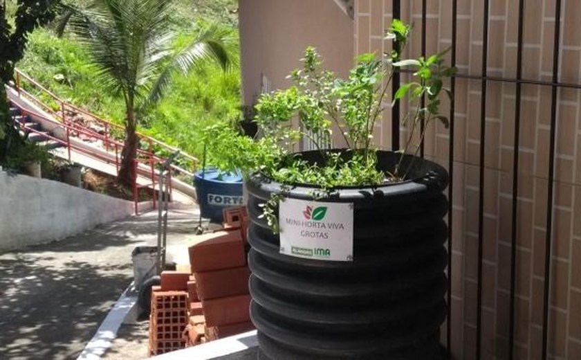 IMA leva mini-hortas para comunidade da Grota da Macaxeira