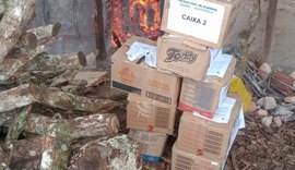 PC incinera mais de 150 quilos de drogas apreendidas em ações policiais em Arapiraca