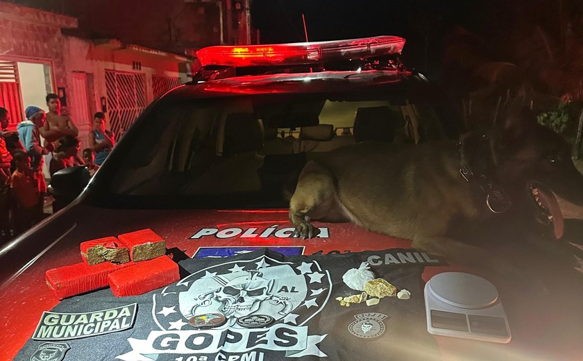 Chefe de facção criminosa em Teotônio Vilela é preso em Campo Alegre
