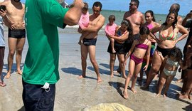 Tartaruga-verde é encontrada morta enganchada em rede de pesca na Ponta Verde