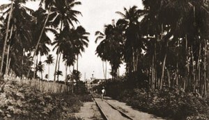 Buarque de Macedo, coração de Maceió: do apogeu à decadência