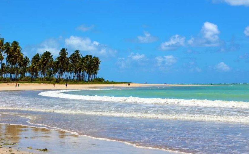 Praias de Marceneiro e Patacho são as mais cobiçadas em Alagoas