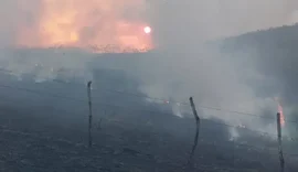 Alagoas registra mais de sete mil focos de incêndio em vegetações este ano