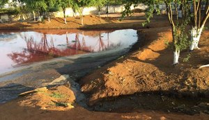 Defensoria Pública pede interdição do Matadouro Municipal de Palmeira