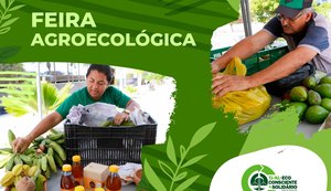 TJ/AL promove feira agroecológica nesta terça (21) com oficinas de aproveitamento de alimentos