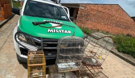 Batalhão de Polícia Ambiental apreende aves silvestres e armas de caça