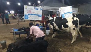 Torneios da 36º Expo Bacia Leiteira mostra diferencial da genética produzida em Alagoas